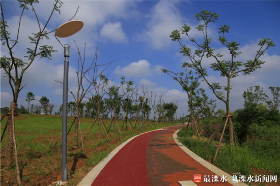南京今年干旱严重，南京绿化公司为保卫绿色家园辛苦工作